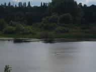 Пилява - Останні фото