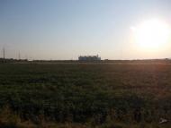 Благодатне з panoramio.com