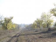 Райське з panoramio.com