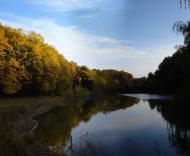 Лисогора з panoramio.com