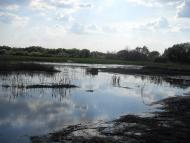 Мала Дівиця з panoramio.com