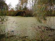 Немішаєве з panoramio.com