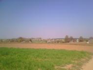 Жорнище з panoramio.com