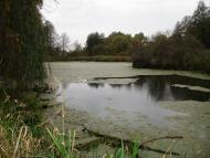 Немішаєве з panoramio.com