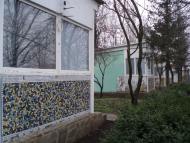 Новохортиця з panoramio.com