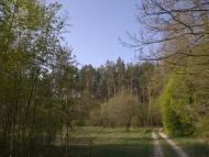 Микуличі з panoramio.com