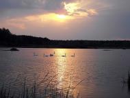 Красна Лука з panoramio.com