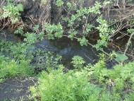 Острівка з panoramio.com