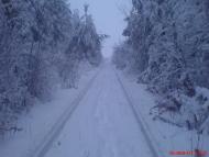 Полянь з panoramio.com