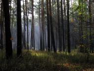 Соцзмагання з panoramio.com