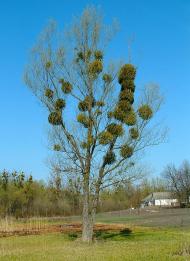 Юхни з panoramio.com