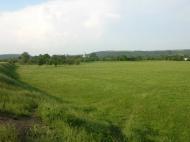 Устя-Зелене з panoramio.com