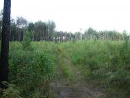 Лісобуда з panoramio.com