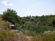 Августівка з panoramio.com