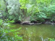 Розумівка з panoramio.com