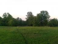 Андрушівка з panoramio.com