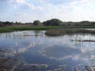 Мала Дівиця з panoramio.com