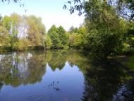 Півнівщина з panoramio.com