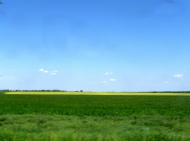 Стахановка з panoramio.com