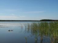 Острів'я з panoramio.com