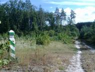 Вишняки з panoramio.com