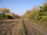 Миролюбівка - Останні фото