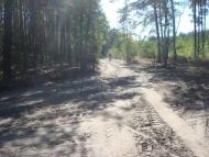 Мирча з panoramio.com