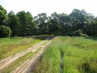 День-Добрий з panoramio.com