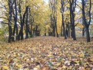 Вовківці з panoramio.com