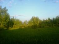 Микуличі з panoramio.com