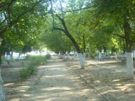 Городнє з panoramio.com