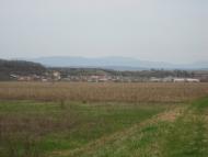 Нижні Ремети з panoramio.com