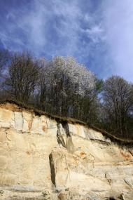 Микитинці з panoramio.com