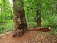 Сокиринці з panoramio.com