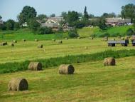 Новостав з panoramio.com