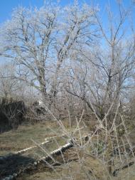 Піщанівка з panoramio.com