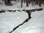 Ивахновка - Последние фото