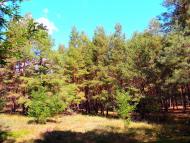 Нижні Яреськи з panoramio.com