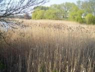 Землянка з panoramio.com