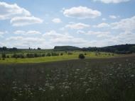 Підцурків з panoramio.com