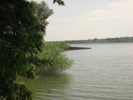 Новогришине з panoramio.com