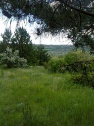 Червонознам'янка з panoramio.com