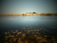 Кучурган з panoramio.com
