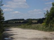 Кунин - Останні фото