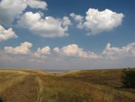 Шелюги з panoramio.com