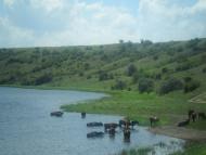 Краснолюбецьк з panoramio.com