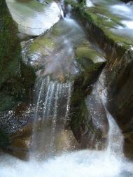 Тур'я Поляна з panoramio.com