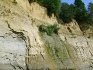 Микитинці з panoramio.com