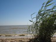 Солончаки з panoramio.com