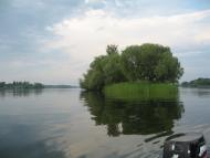 Розумівка з panoramio.com